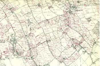 Map showing field names - Caddington south
